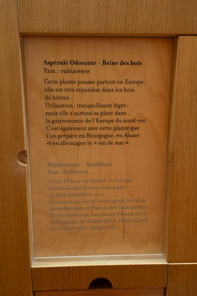 Vosges