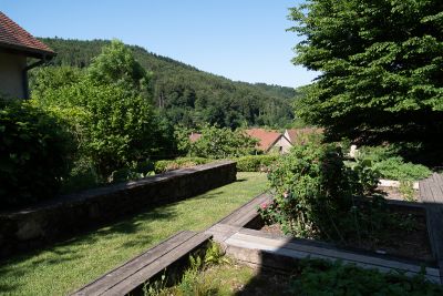 Vosges