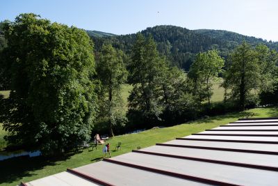 Vosges