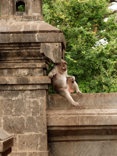 BALI