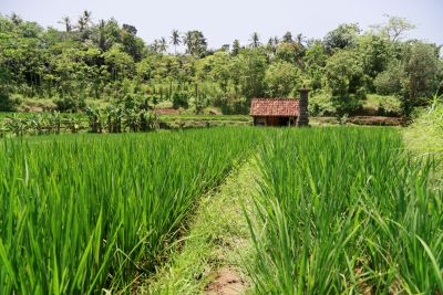 Bali