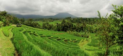Bali