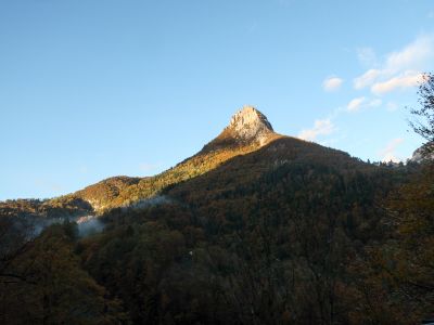 Chartreuse