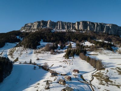 Chartreuse