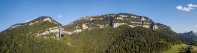 Chartreuse