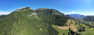 Chartreuse