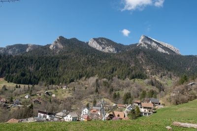 Chartreuse