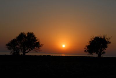Chypre