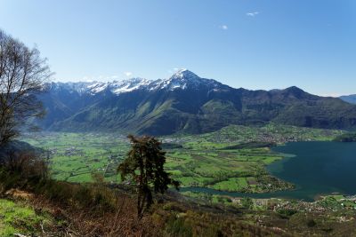 Como