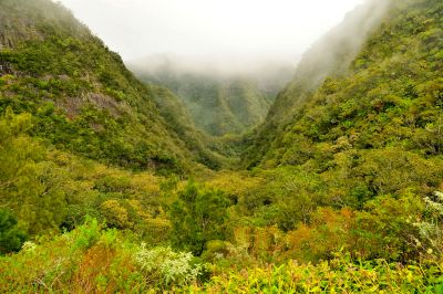 Ile de la Réunion