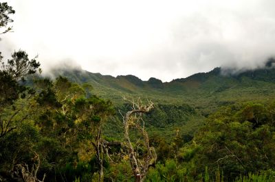Ile de la Réunion