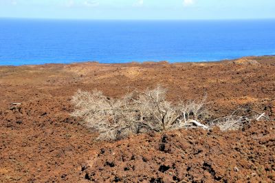 Ile de la Réunion