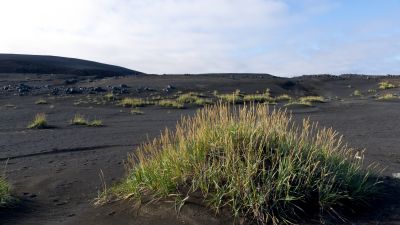 Islande