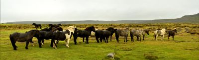 Islande