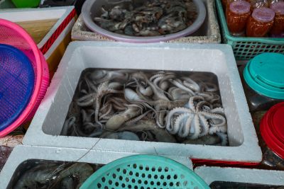 Kampot