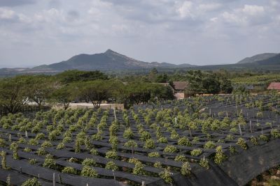 Kampot