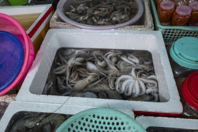 Kampot