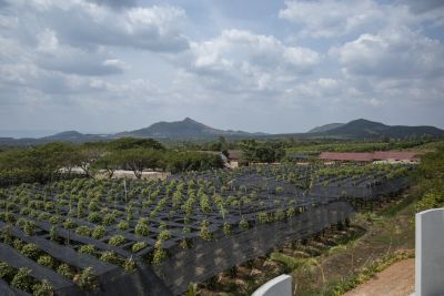 Kampot