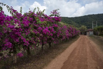 Kampot