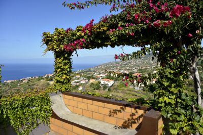Madeire