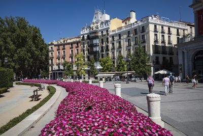 Madrid