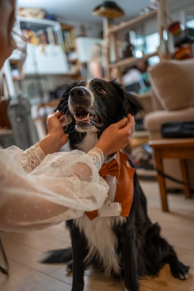 Mariage Adeline et Taner
