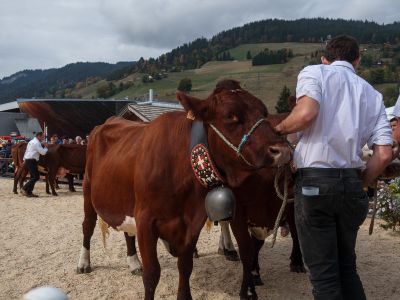 Megeve