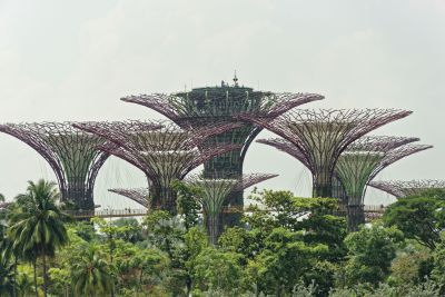 Singapour