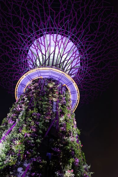 Singapour