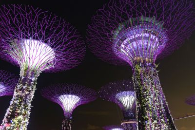 Singapour