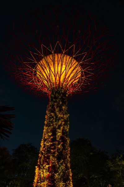 Singapour
