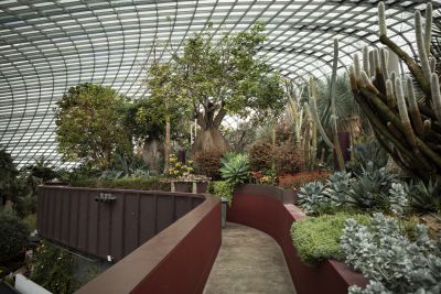 Singapour