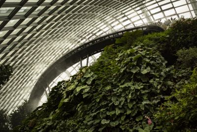 Singapour