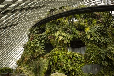 Singapour