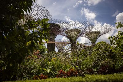 Singapour