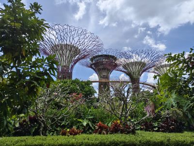 Singapour