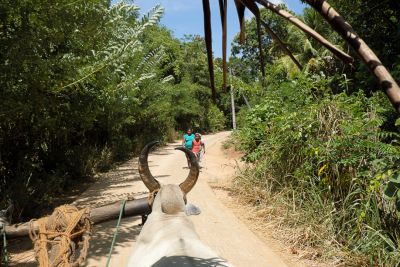 Srilanka18