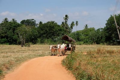 Srilanka18