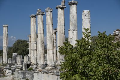 Temple d'Aphrodisias - Turquie