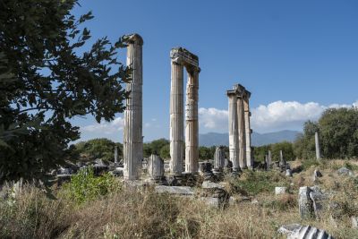 Temple d'Aphrodisias - Turquie