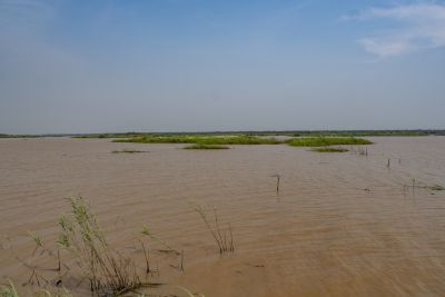 Tonle Sap