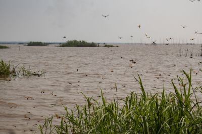 Tonle Sap