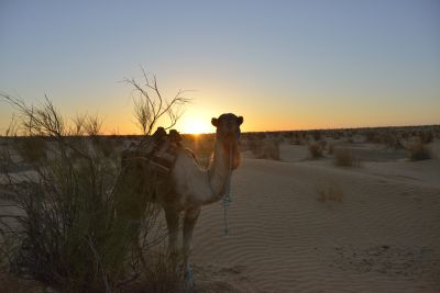 Tunisie: Ksar Ghilane