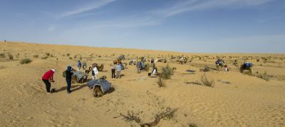 Tunisie: Tembaïne