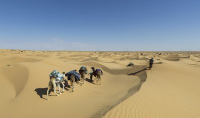 Tunisie: Tembaïne