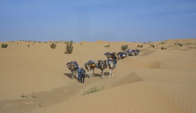 Tunisie: Tembaïne