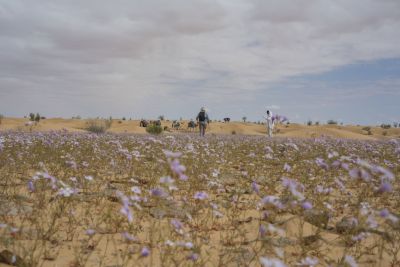 Tunisie: Tembaïne