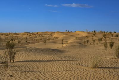 Tunisie: Tembaïne