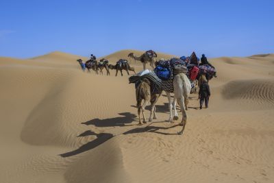 Tunisie: Tembaïne