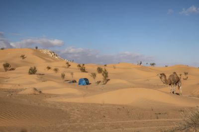 Tunisie: Tembaïne